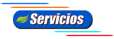 Omega Car Center, autolavado, carwash, taller mecanico, cdmx, estetica automotriz, servicios